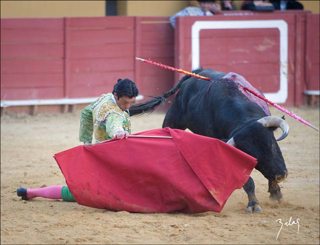 Inicio muy torero de Miguelín. (FOTO: V.Balas)