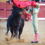 Ayudados por alto de Julio Parejo. (FOTO: V. Balas)
