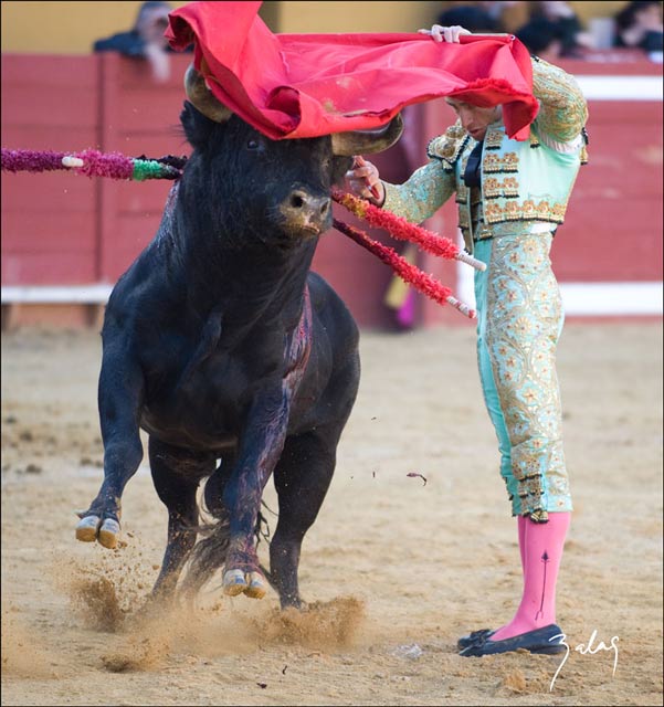 Ayudados por alto de Julio Parejo. (FOTO: V. Balas)