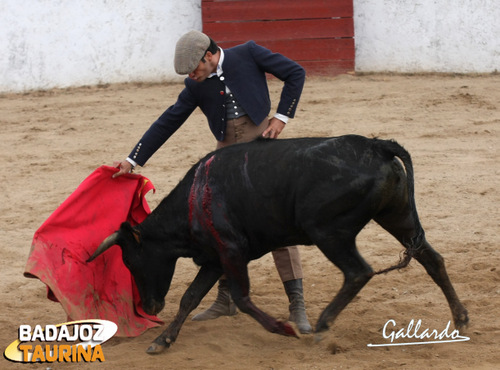 Gustándose en los redondos, relajados...