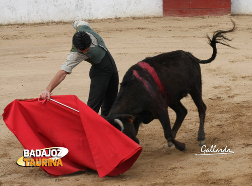 Miguelín Murillo, mandando en el derechazo.