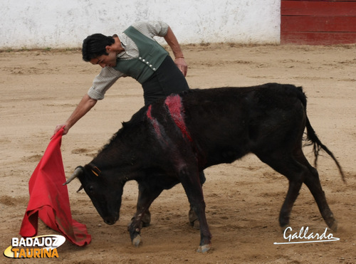 La madurez de Murillo es cada vez más palpable.