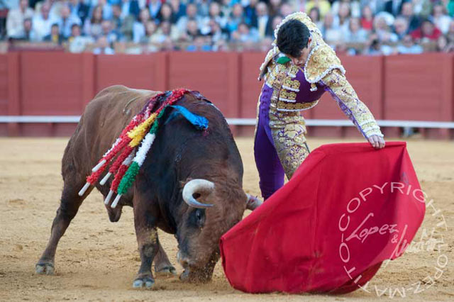 Talavante enjaretando un natural en Sevilla. (FOTO:lopezmatito.com)