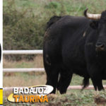 toros-la-px