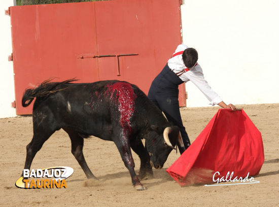 Alejandro Fermín con el utrero que se lidió.