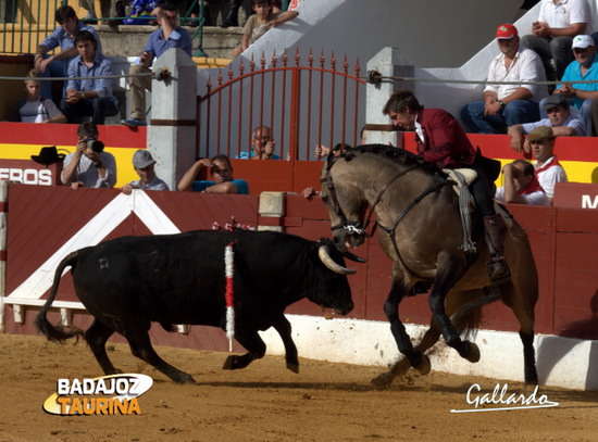 Pablo Hermoso de Mendoza e 'Ícaro'.