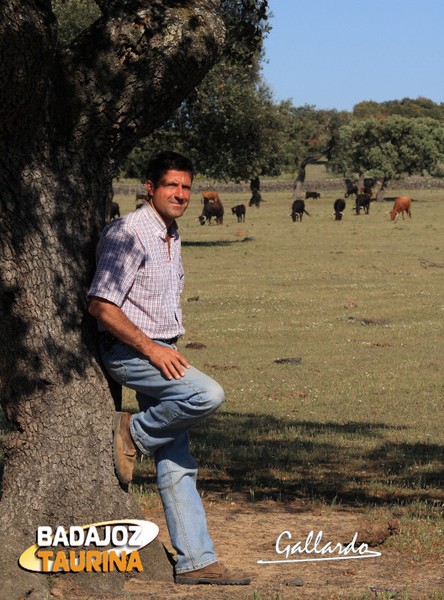 El mayoral Curro Carrillo junto a los lotes de madres de la vacada. (FOTO:Gallardo)