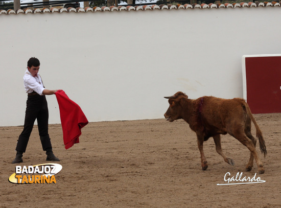 Luis Domínguez citando en largo.