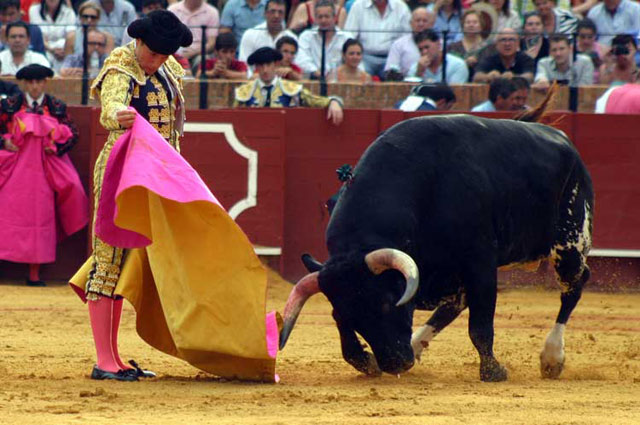 Lanceando a la verónica.