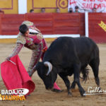 Alejandro Fermín tirando de su novillo. (FOTO: Gallardo)