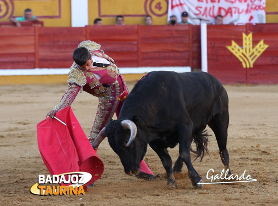 Alejandro Fermín tirando de su novillo. (FOTO: Gallardo)