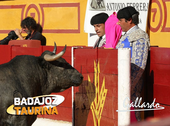 Sierra y Valdeoro fijando a uno de los toros de Victorino.