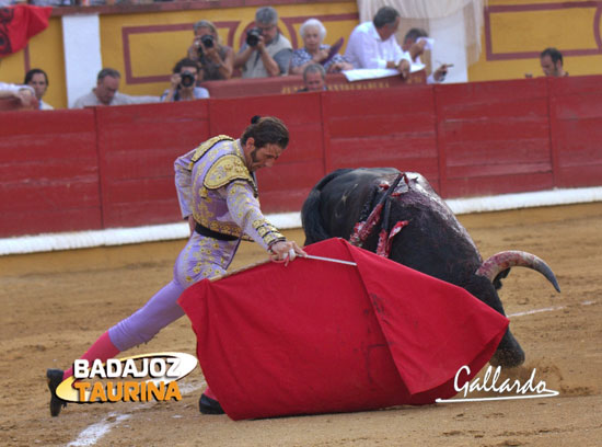 Padilla iniciando la faena de muleta. (FOTOS:Gallardo)