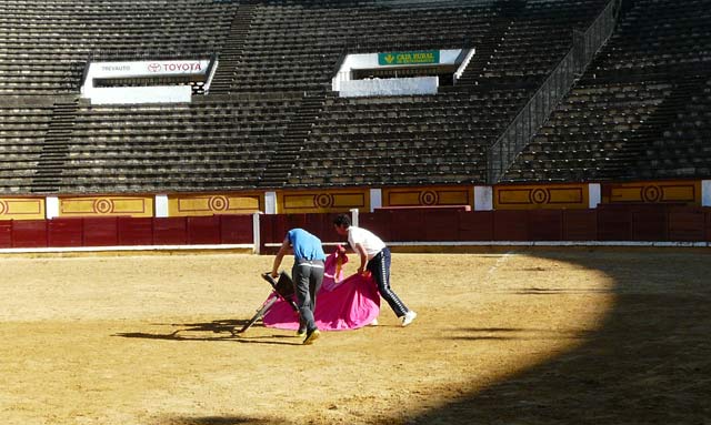 Y llevar a los toros en largo como se aprecia en estos lances de salón.