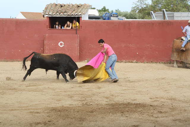 El Fini bregando ante uno de los novillos del tentadero.