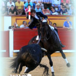 Pablo Hermoso en su actuación de esta tarde en Badajoz. (FOTO: Gallardo)
