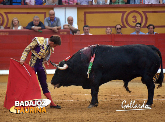 La raza de 'El Juli'patente en la faena al sexto. (FOTO:Gallardo)