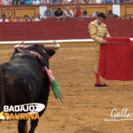Talavante citando para los estatuarios al sexto. (FOTO: Gallardo)