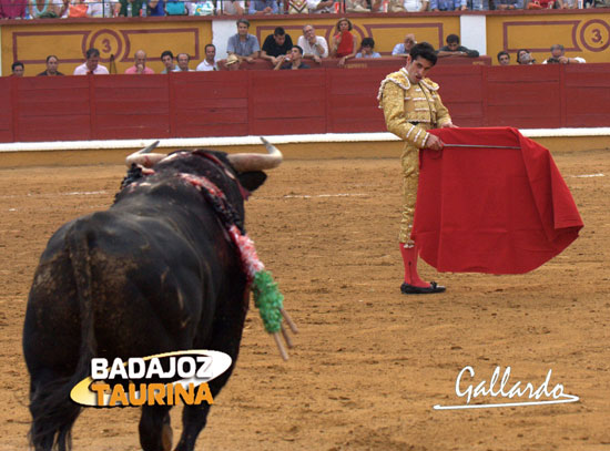 Talavante citando para los estatuarios al sexto. (FOTO: Gallardo)