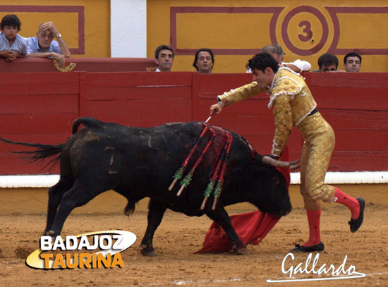 Tirándose a por todas para rubricar una gran faena. (FOTOS: Gallardo)