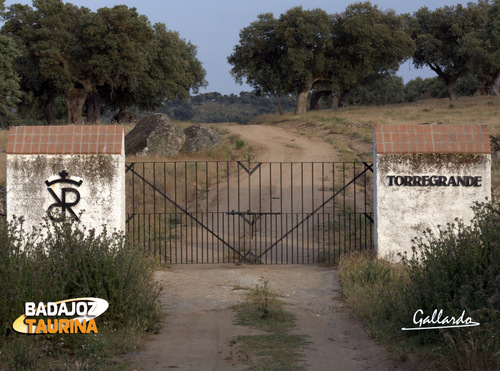 Y llevasen el nombre de Torregrande por las plazas de toros.