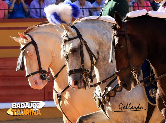 San Juan siempre fue feria del toro, ahora también del caballo.