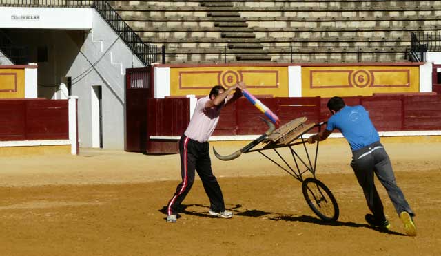 Y colocando banderillas por uno y otro pitón.