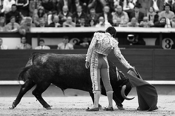 Talavante con un 'adolfo' en Las Ventas. (FOTO: Juan Pelegrín)