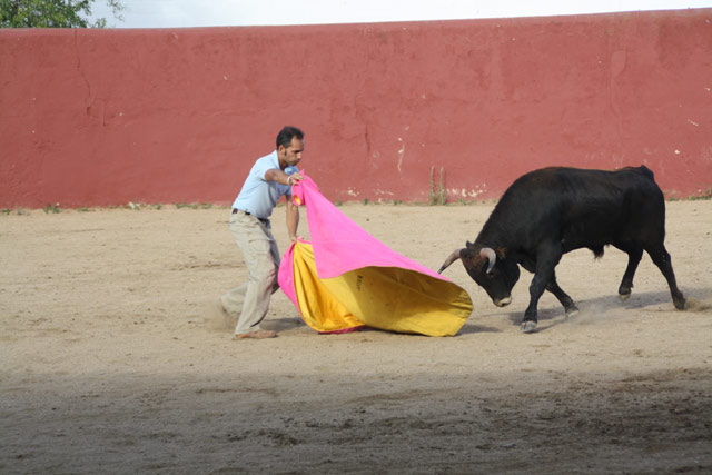 Y con el capote busca el temple necesario para su debut en una corrida.