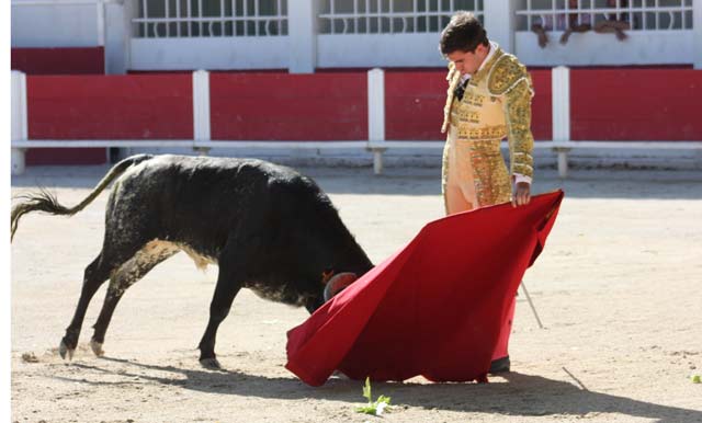 Durante la faena de muleta. Cortó una oreja.