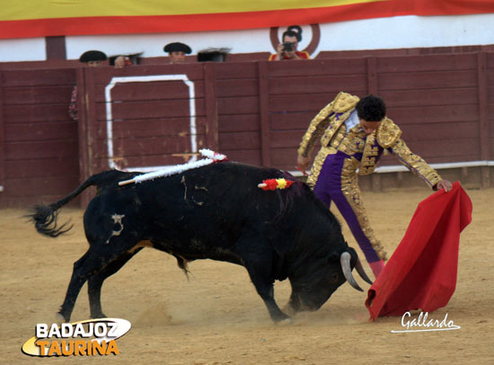 Al natural, encajado, Oliva Soto en el quinto. (FOTO: Gallardo)