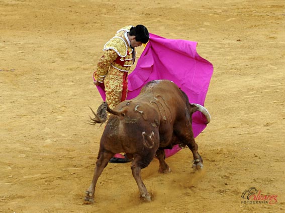 Alejandro Talavante