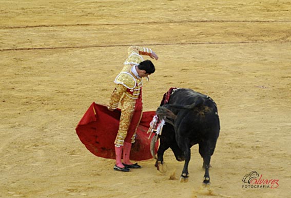 Alejandro Talavante