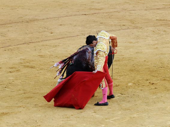 Alejandro Talavante