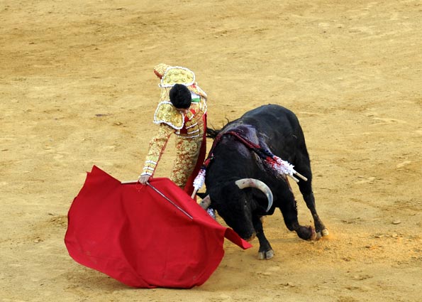 Alejandro Talavante