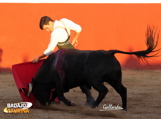 De cuyo celo da buena cuenta en el pulso de sus muñecas.