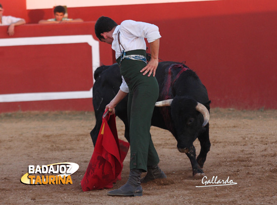 ...y quietud ante la cara del toro.