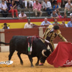 Javier Solis muleteando a su primero. (FOTO: Gallardo)