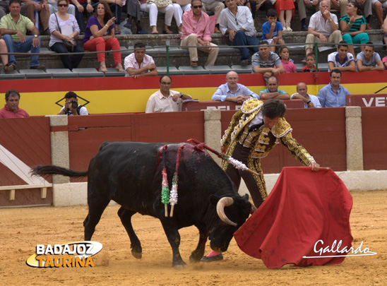 Javier Solis muleteando a su primero. (FOTO: Gallardo)