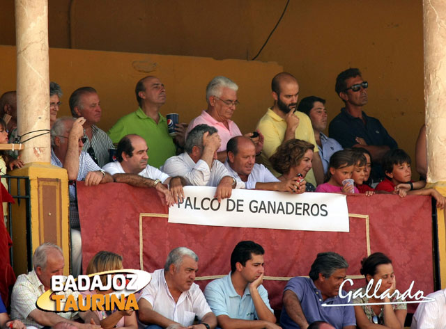 Los seis ganaderos siguiendo el juego de sus toros desde su palco.