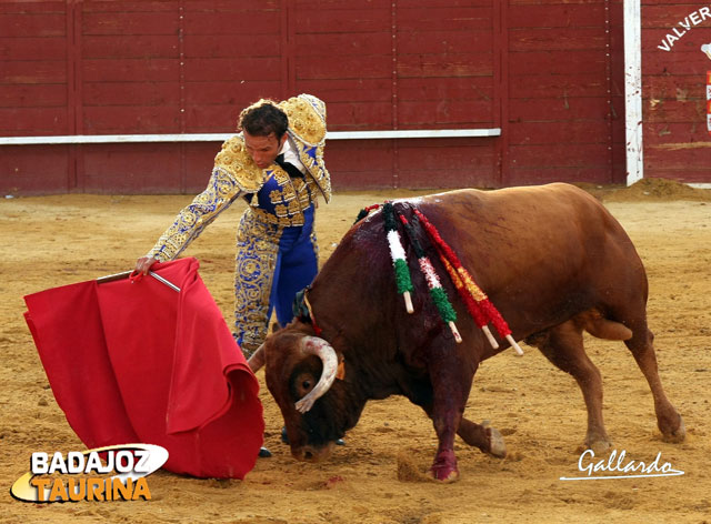 Llevando muy tapado al ejemplar de Villamarta.