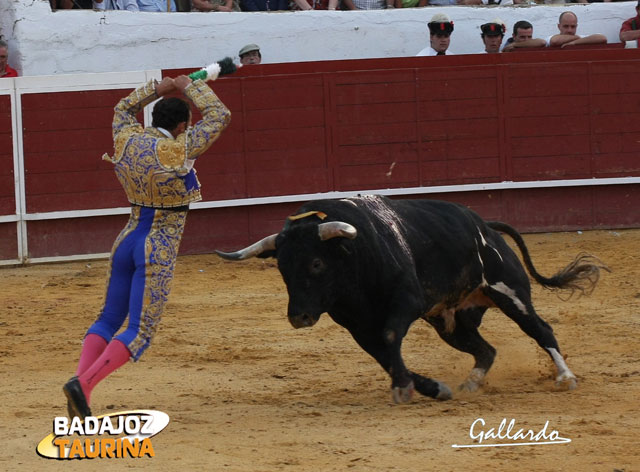 En banderillas otro espectáculo.