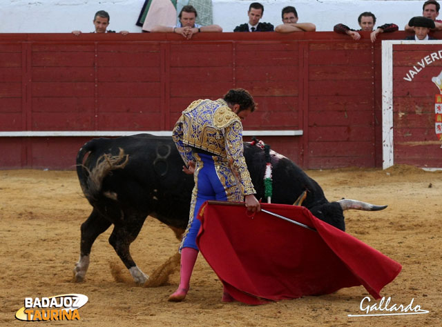 ...y encontró a un torero qe le pudo y le entendió.