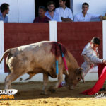 Inicio de faena de Terrón al jabonero segundo. (FOTO:Gallardo)
