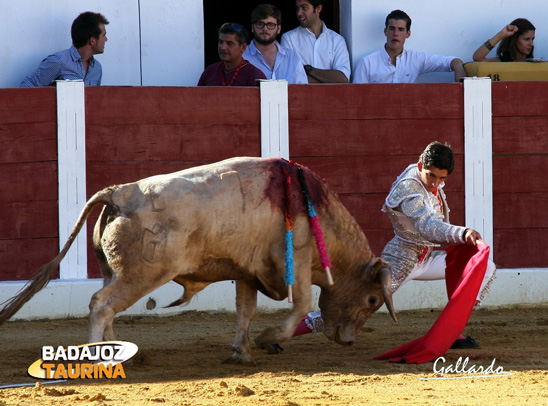 Inicio de faena de Terrón al jabonero segundo. (FOTO:Gallardo)