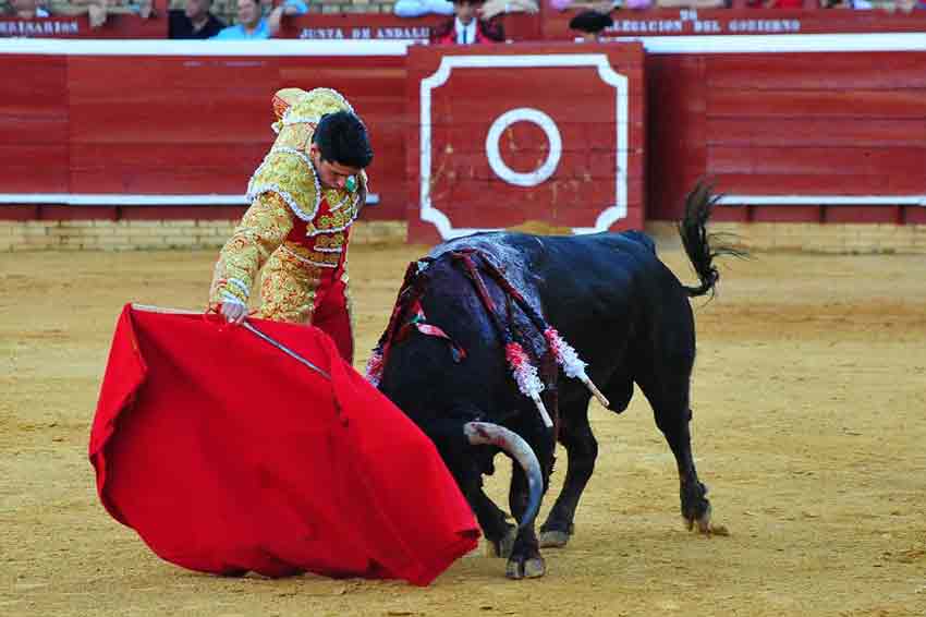 Alejandro Talavante