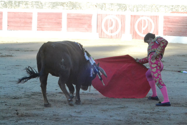 ...tiene hoy su eco en la tauromaquia moderna...