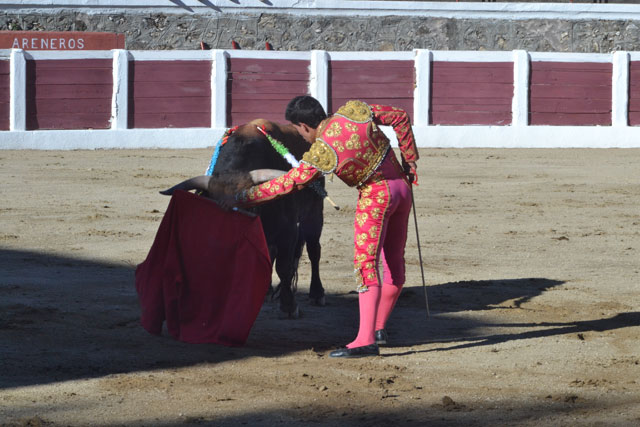 ...cuando para curtirse como torero...