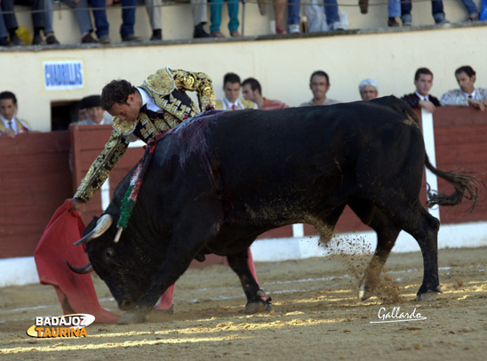 Antonio Ferrera conduciendo la embestida de su primero. (FOTO:Gallardo)