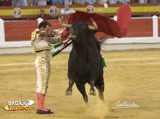 Estatuarios a 'Piloto' para iniciar faena. (FOTO: Gallardo)